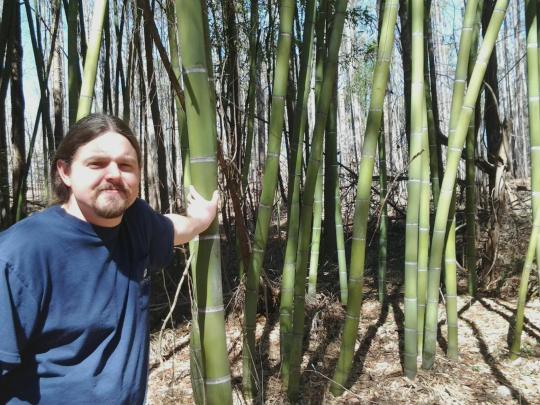 My husband in the bamboo forest planted by the Binkleys.