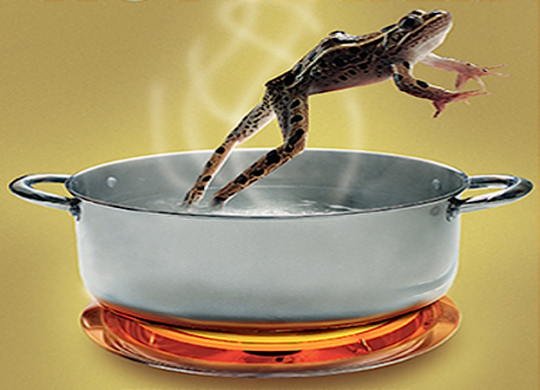 frog-jump-out-of-boiling-water